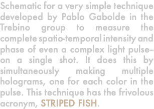 Schematic for a very simple technique developed by Pablo Gabolde in the Trebino group to measure the complete spatio-temporal intensity and phase of even a complex light pulse--on a single shot. It does this by simultaneously making multiple holograms, one for each color in the pulse. This technique has the frivolous acronym, STRIPED FISH.