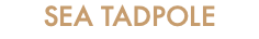 SEA TADPOLE