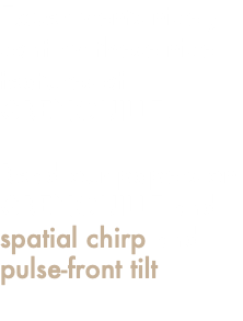 Experiments nicely confirm these nice features of GRENOUILLE. Read our papers on GRENOUILLE and spatial chirp and pulse-front tilt.